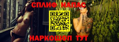 прущие грибы Комсомольск-на-Амуре