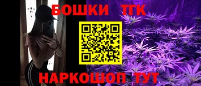 прущие грибы Комсомольск-на-Амуре