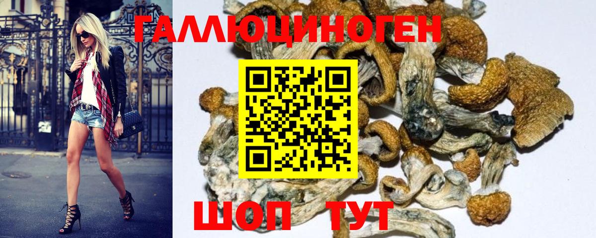 купить наркотик  Галлюциногенные грибы Magic Shrooms  Вход с VPN  Гусь-Хрустальный 