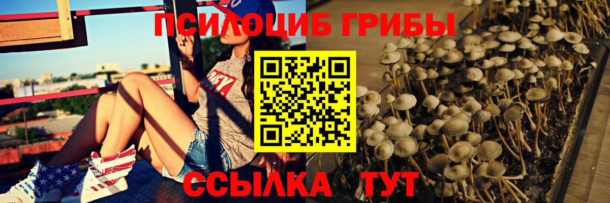 Галлюциногенные грибы прущие грибы Гусь-Хрустальный
